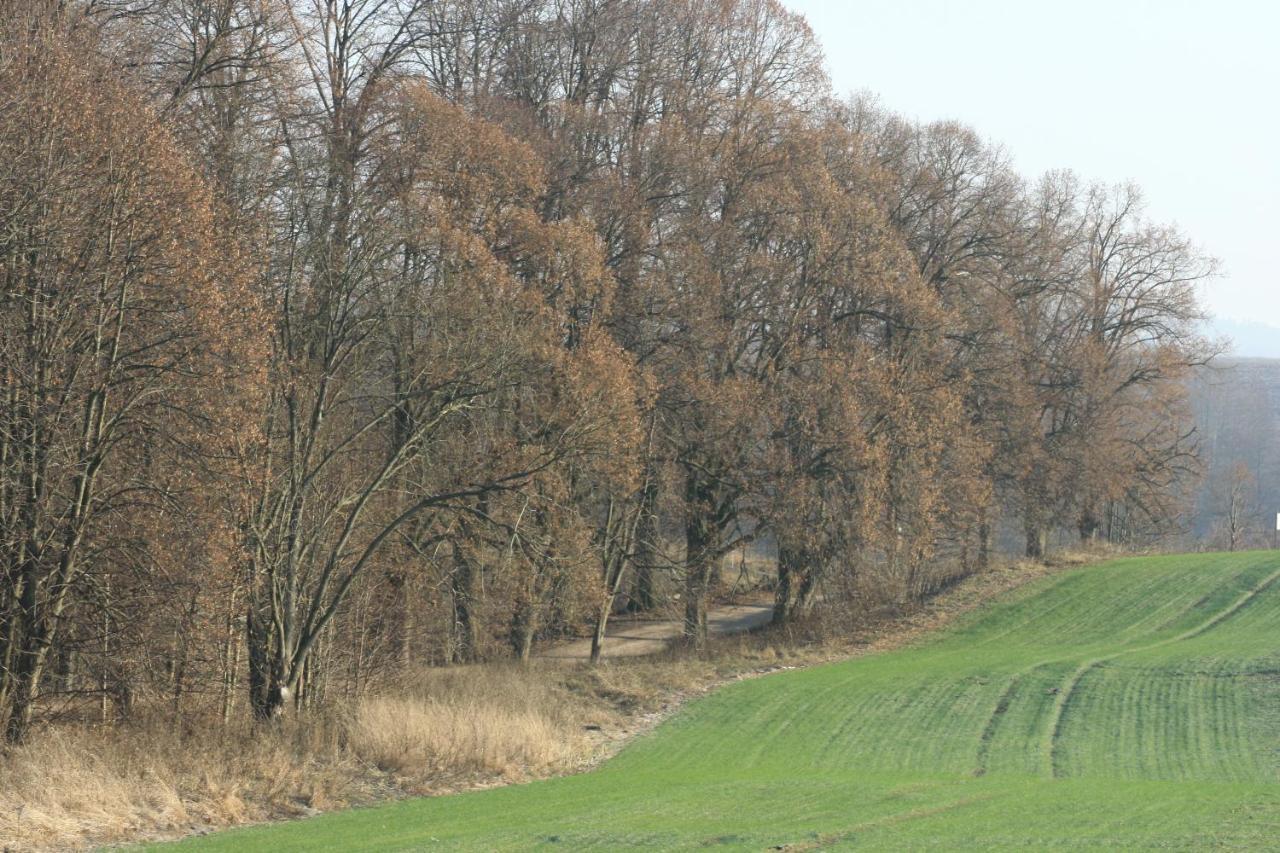 Zielone Okiennice Milki Exterior photo